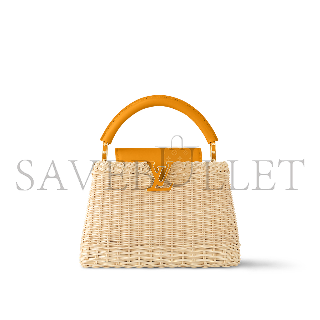 LOUIS VUITTON MASTER CAPUCINES BB M24976 (27*17.3*9cm)